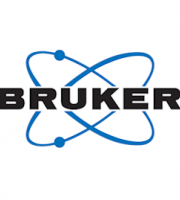 bruker